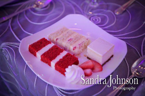 Best Ritz Carlton Wedding photographer - Sandra Johnson (SJFoto.com)